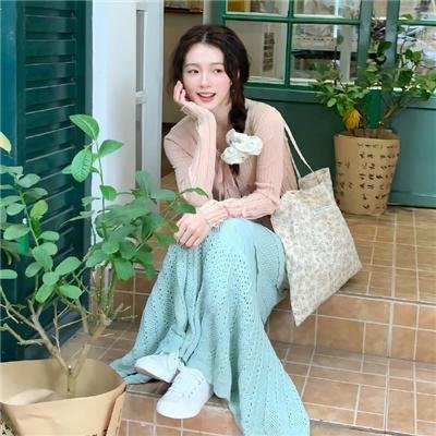 所罗门的伪证前篇：事件
